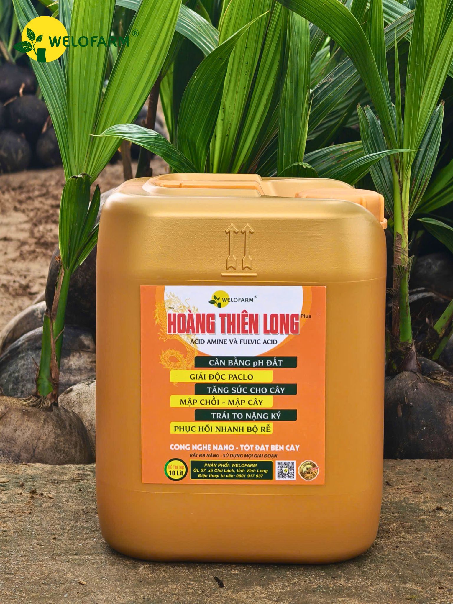 Plus Hoàng Thiên Long