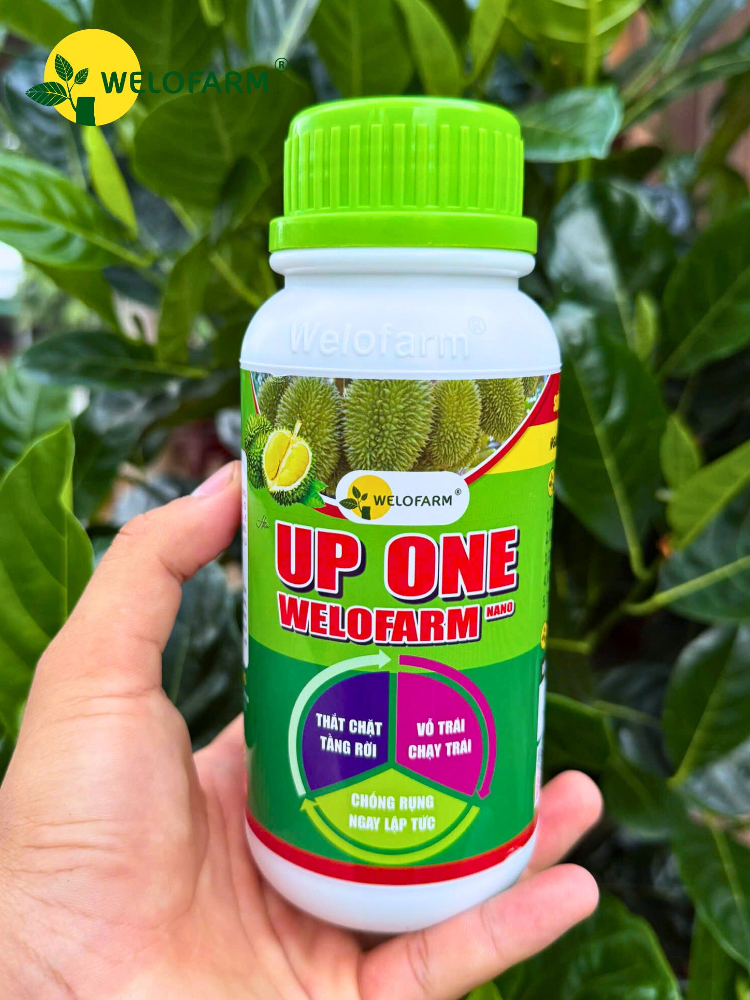 Up One Nano Welofarm