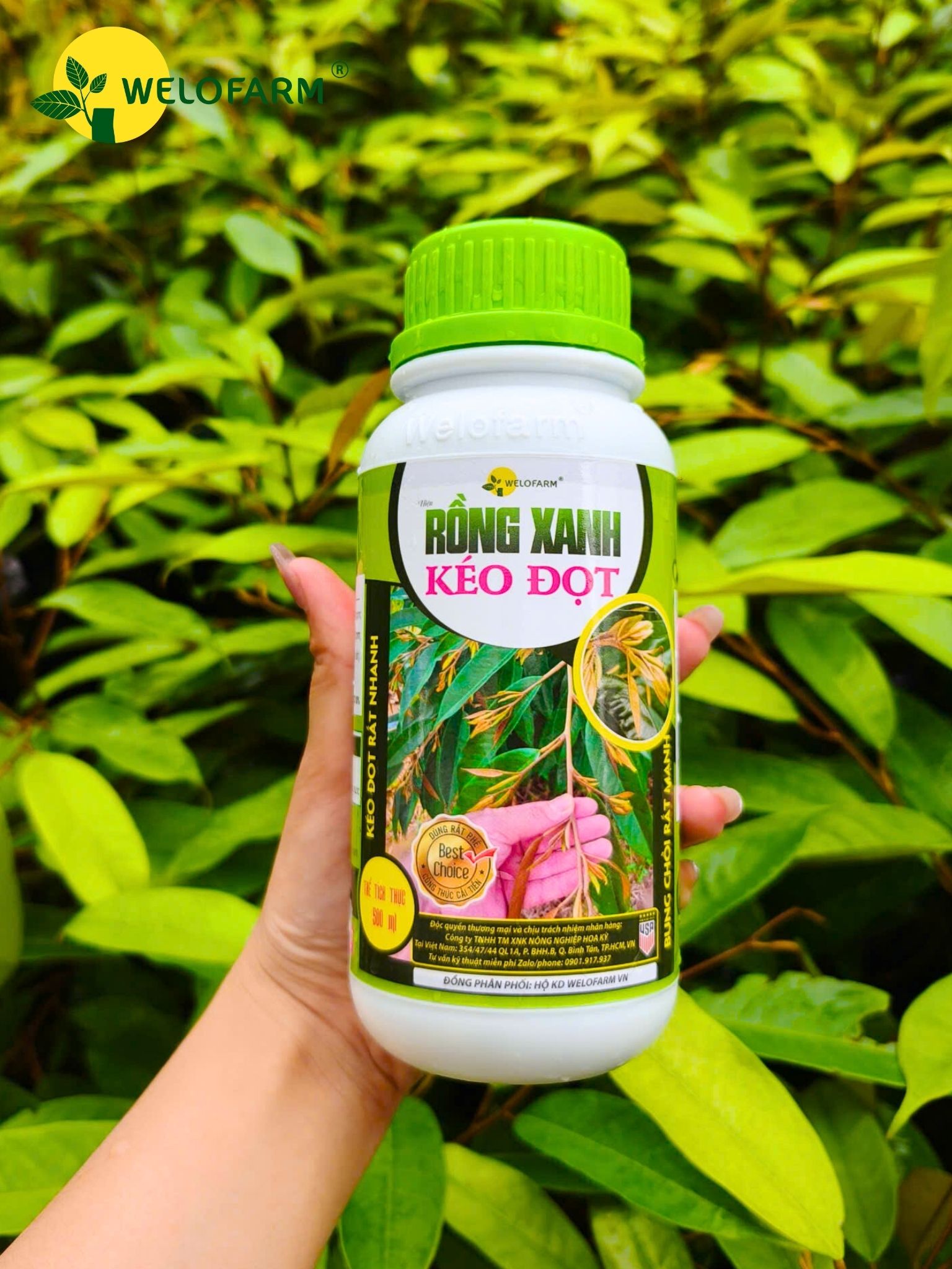 Rồng Xanh Kéo Đọt