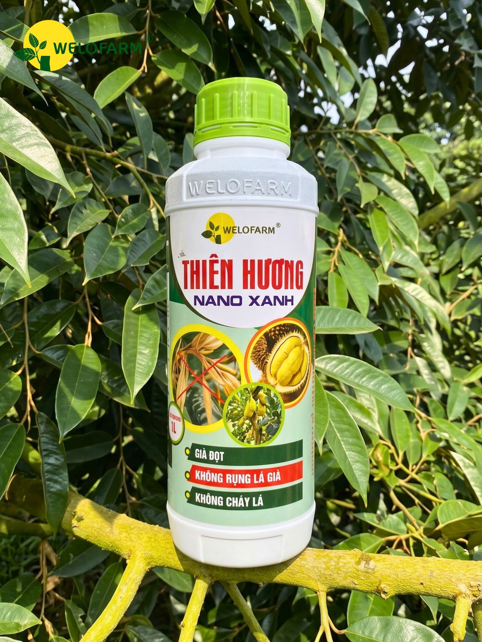 Thiên Hương Nano Xanh 1L