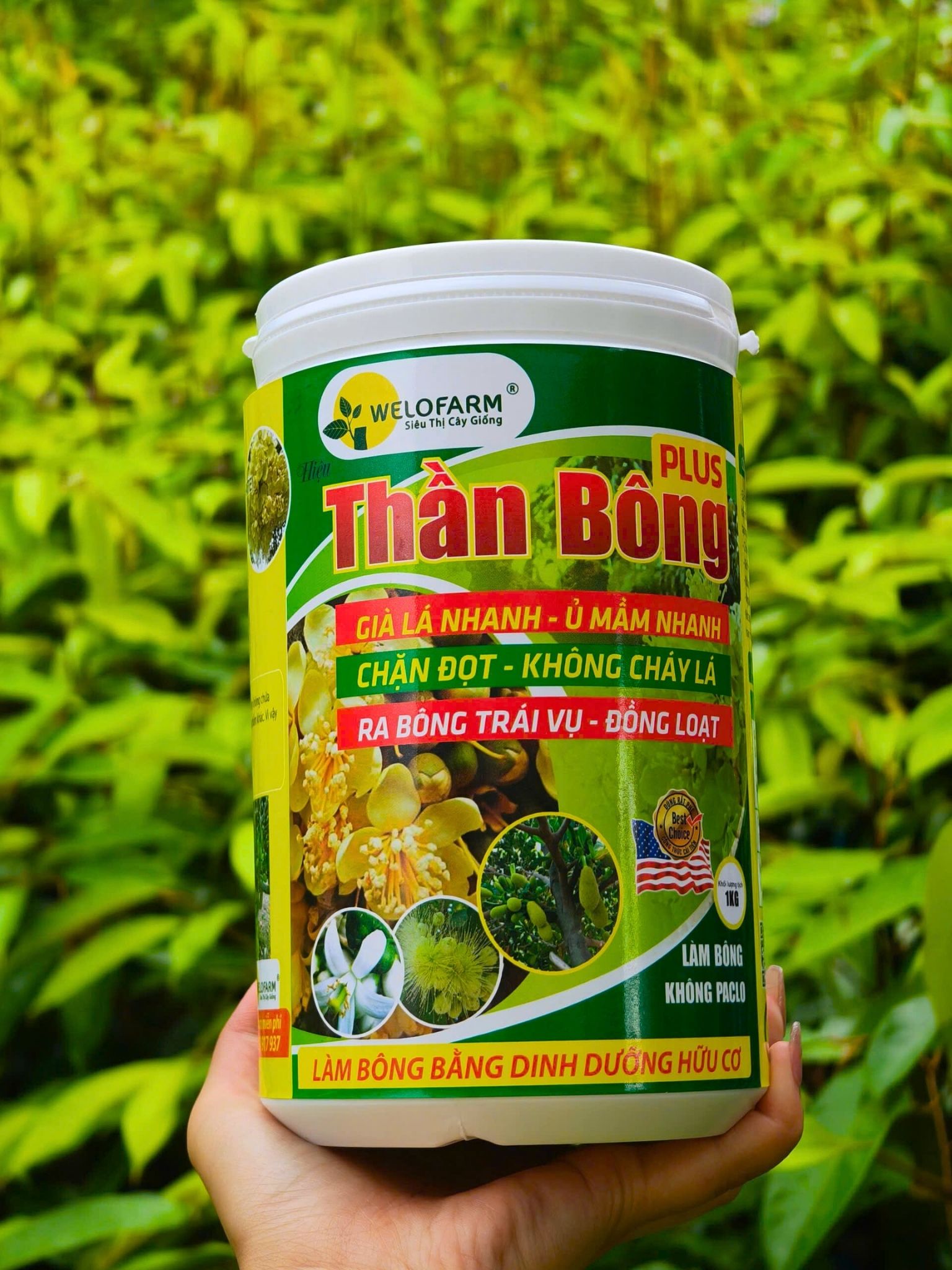 Thần Bông Plus