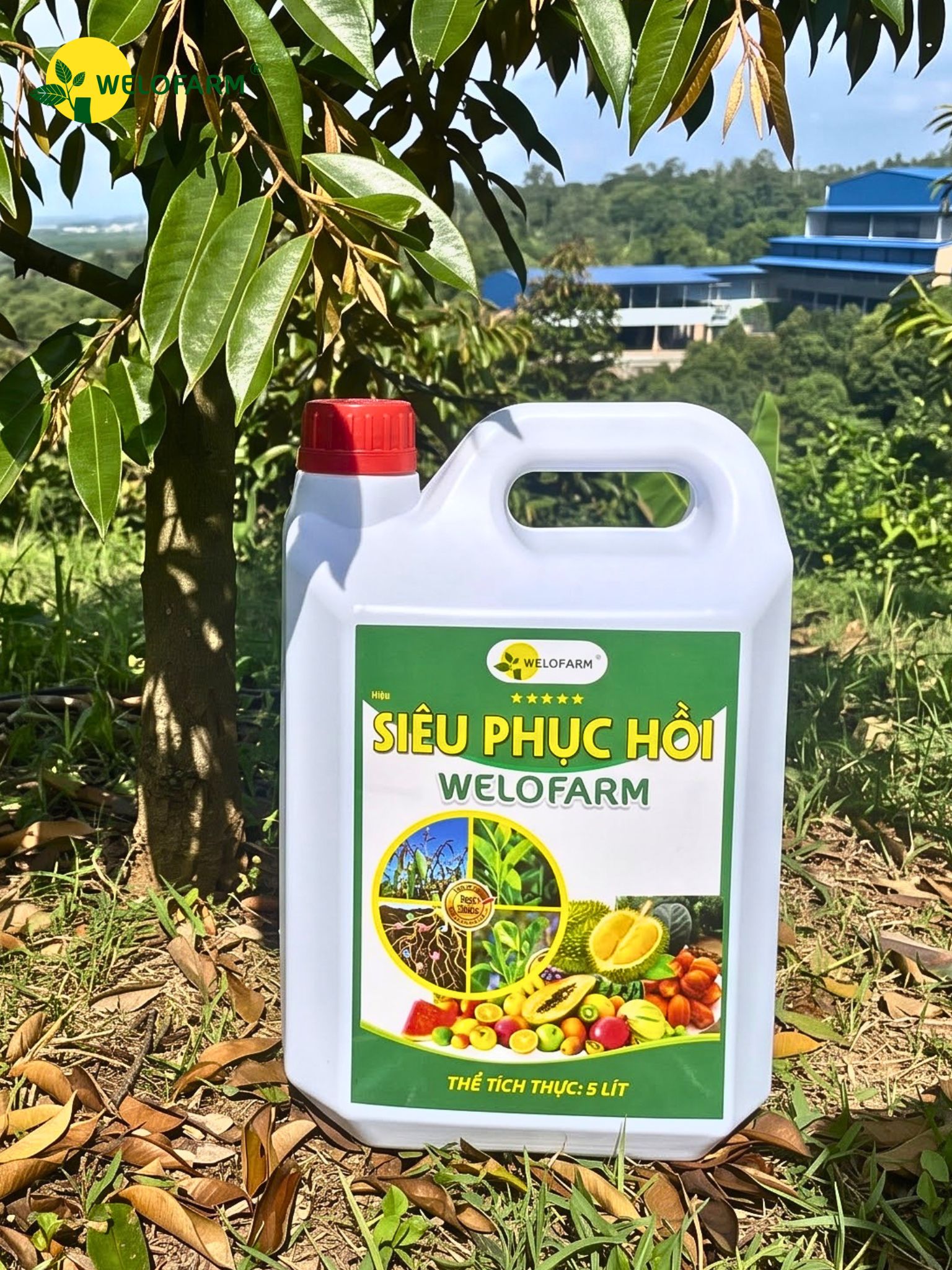 Siêu Phục Hồi