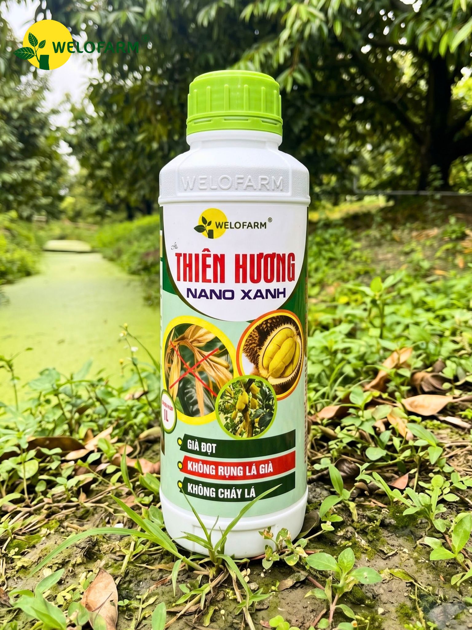 Thiên Hương Nano Xanh 1L