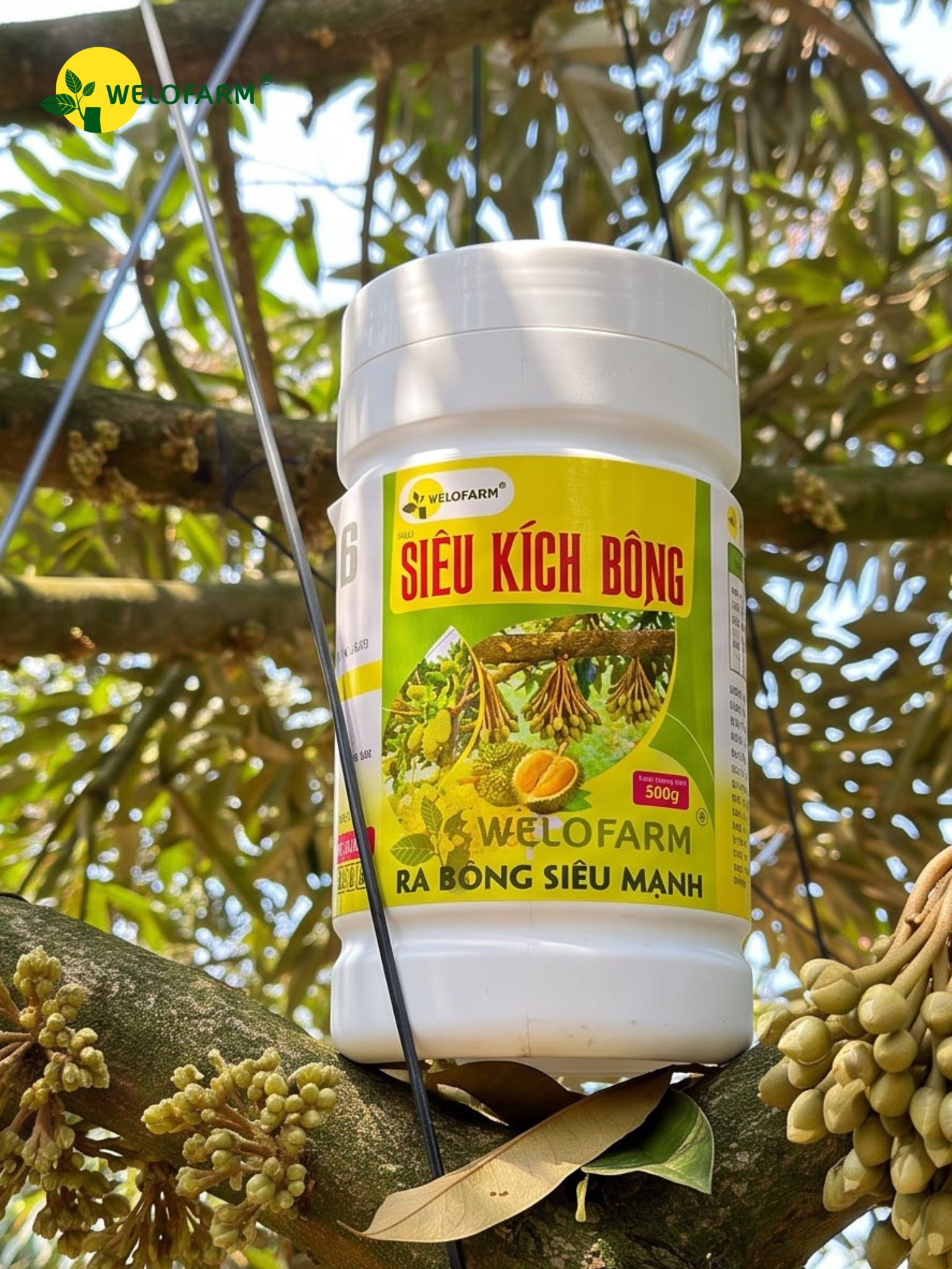 Siêu Kích Bông