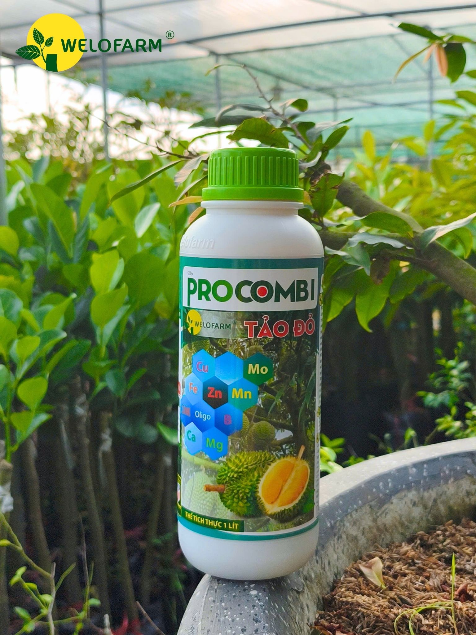 Procombi Tảo Đỏ 1L
