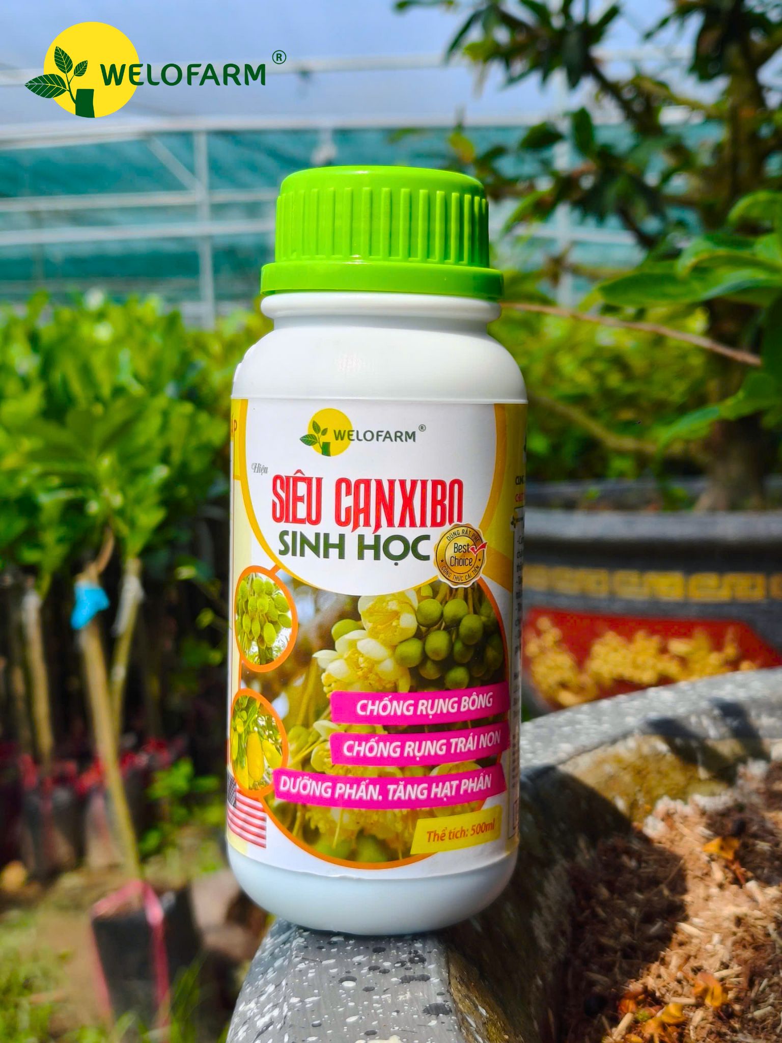 Siêu Canxi - Bo Sinh Học