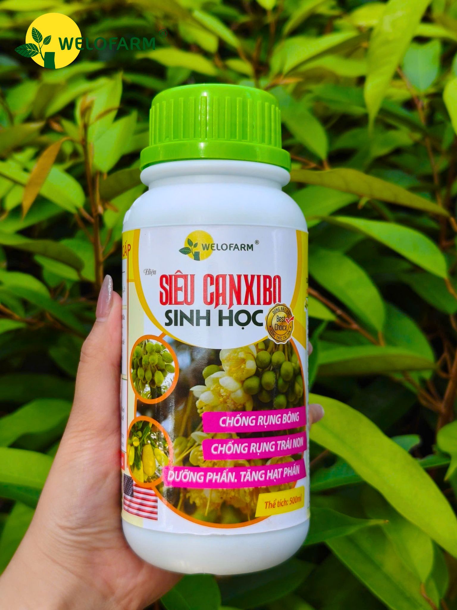 Siêu Canxi - Bo Sinh Học