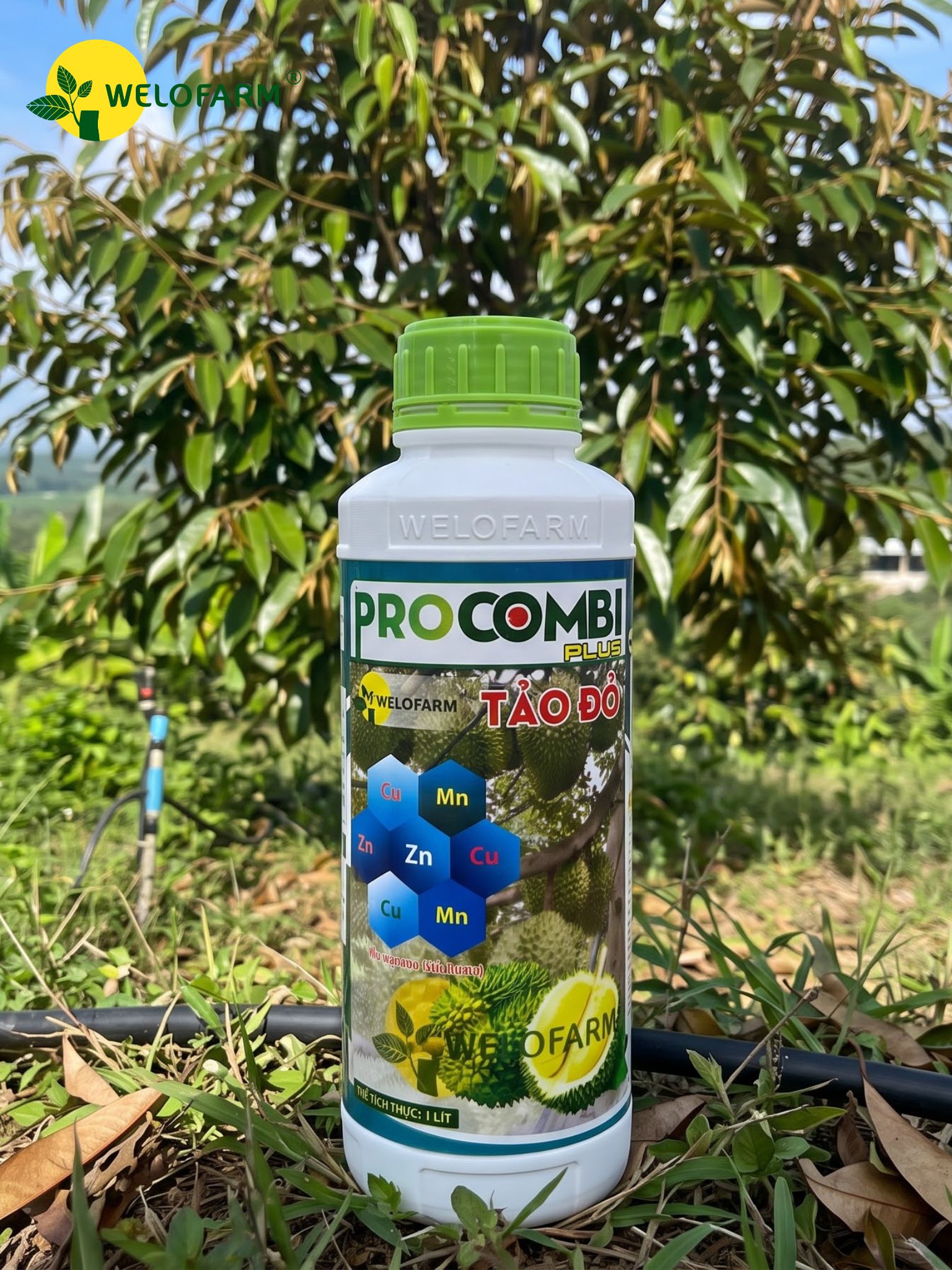 Pro Combi Plus Tảo Đỏ
