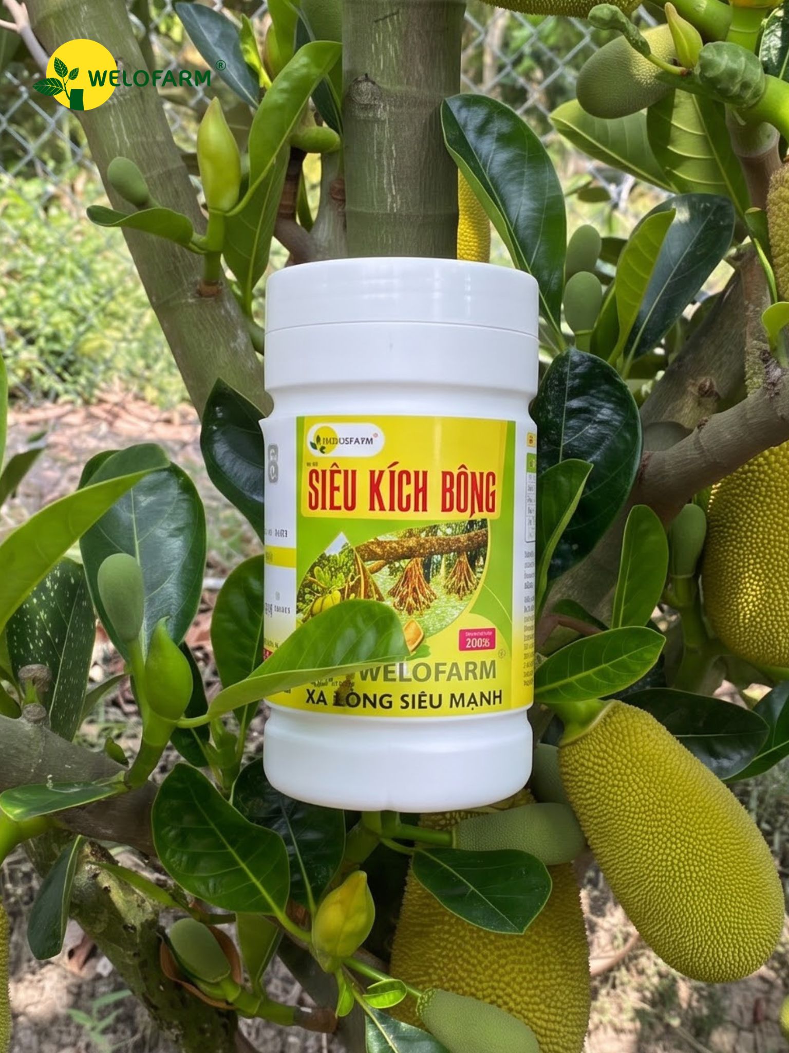 Siêu Kích Bông