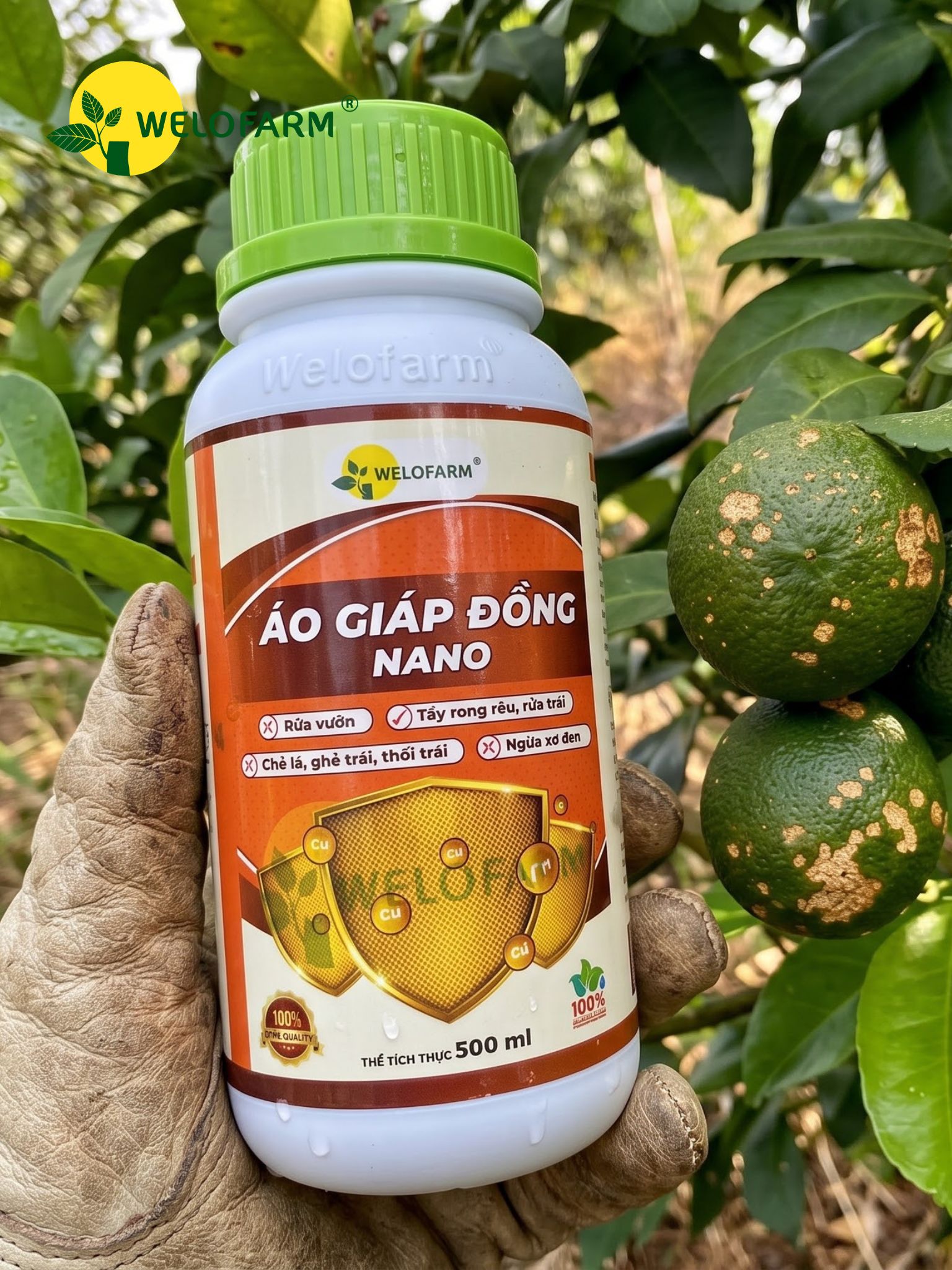 Áo Giáp Đồng Nano