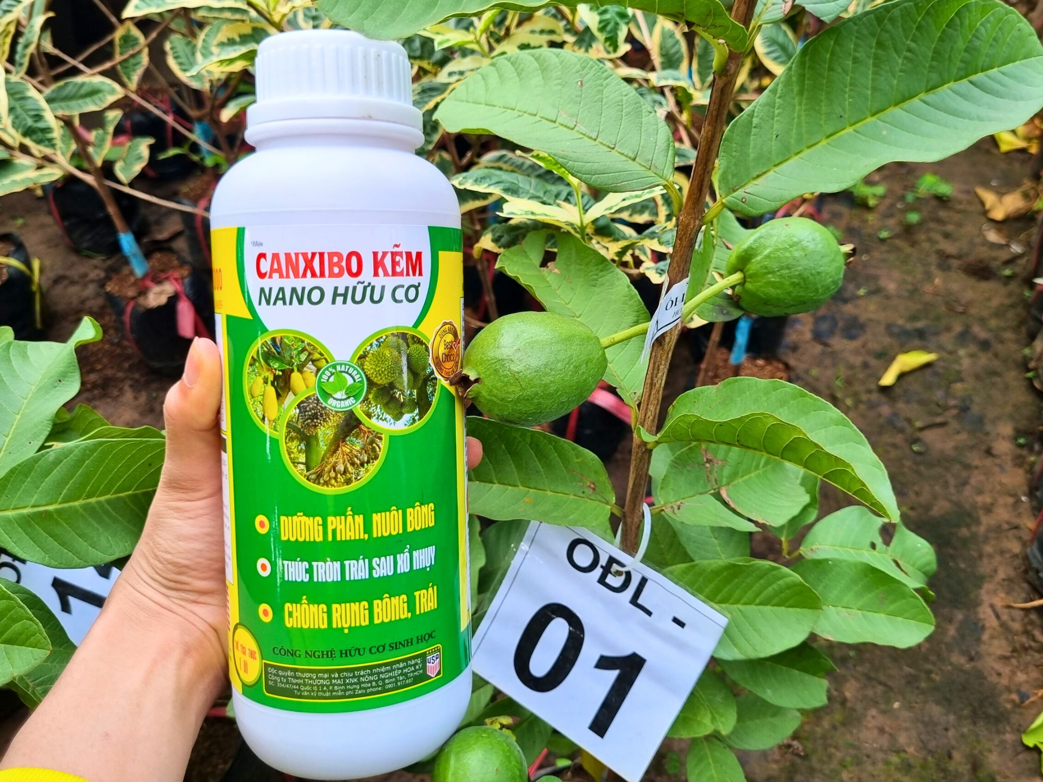 CanxiBo Kẽm Nano Hữu Cơ