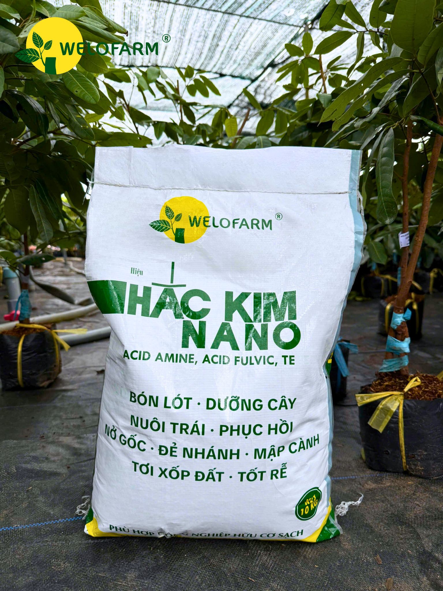 Hắc Kim Nano