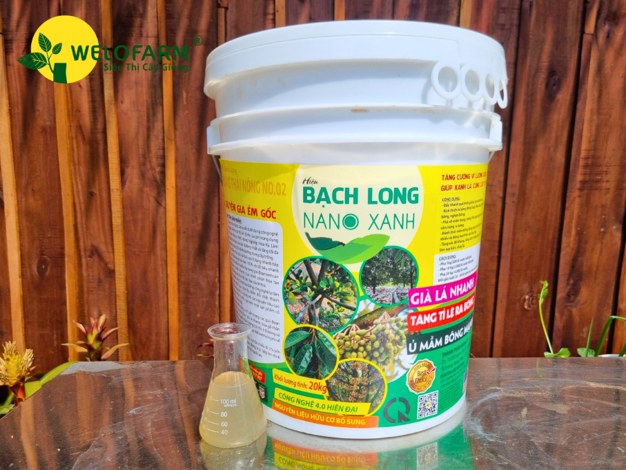 Bạch Long Nano Xanh 20kg