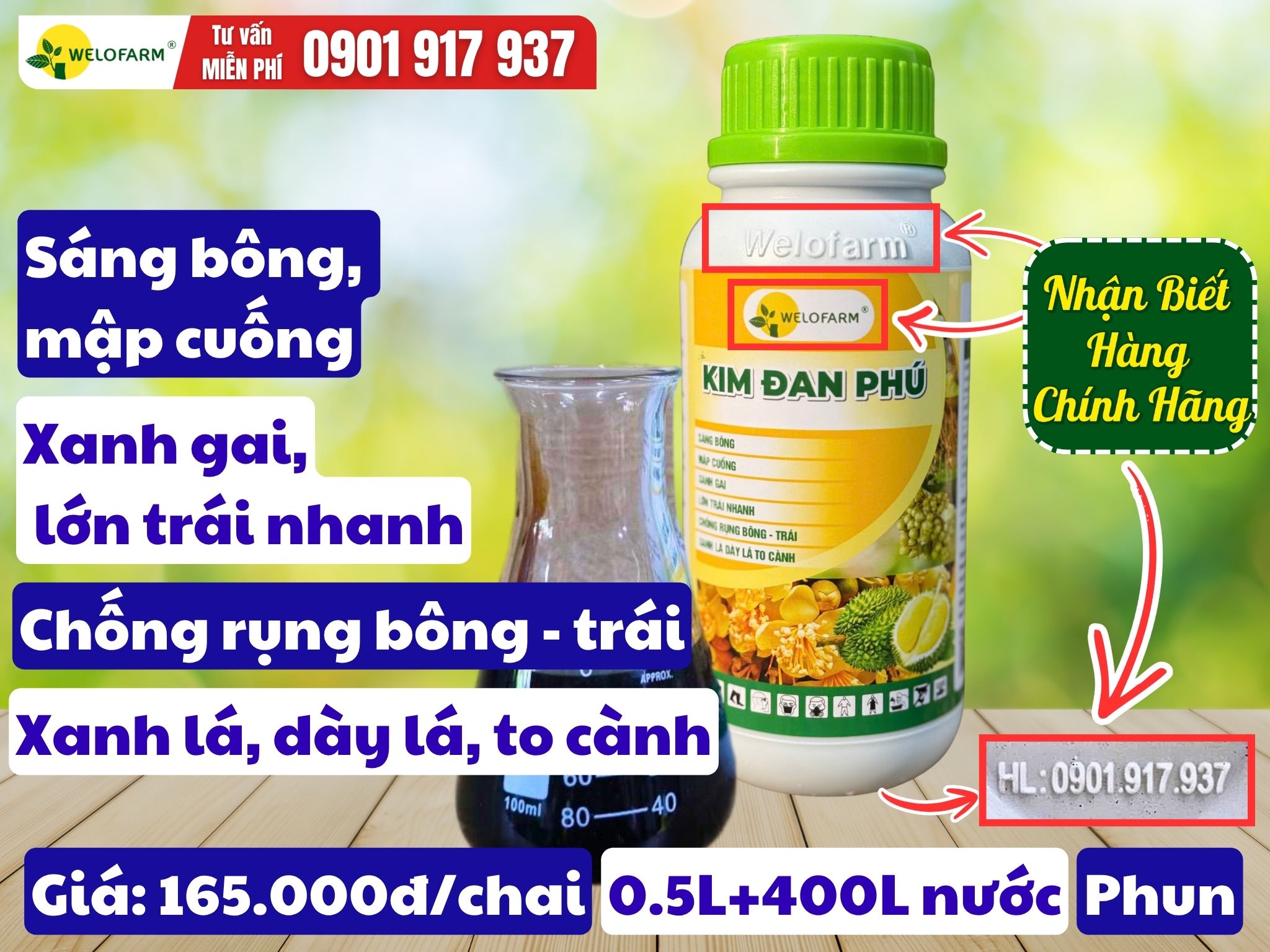 Kim Đan Phú