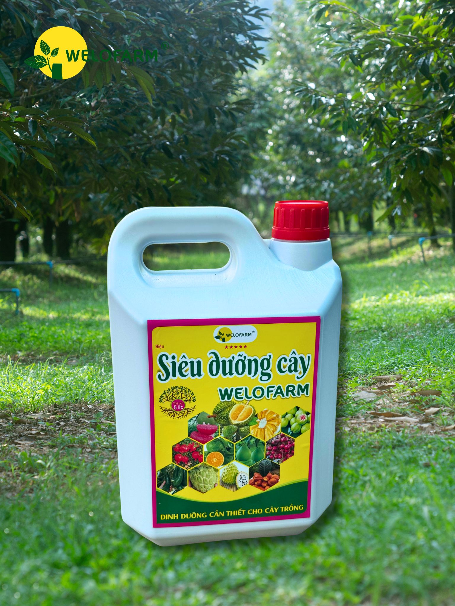 Siêu Dưỡng Cây