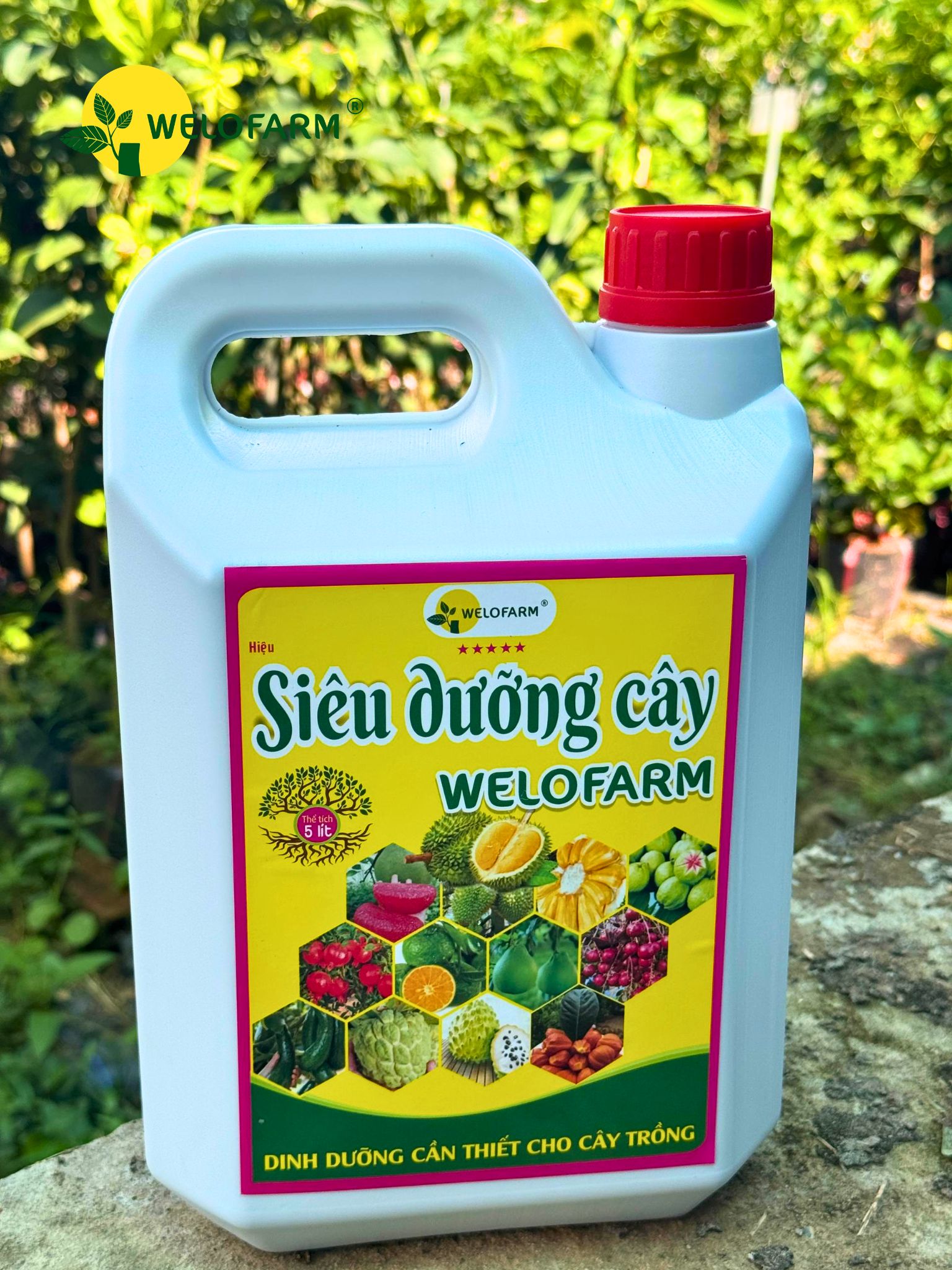 Siêu Dưỡng Cây