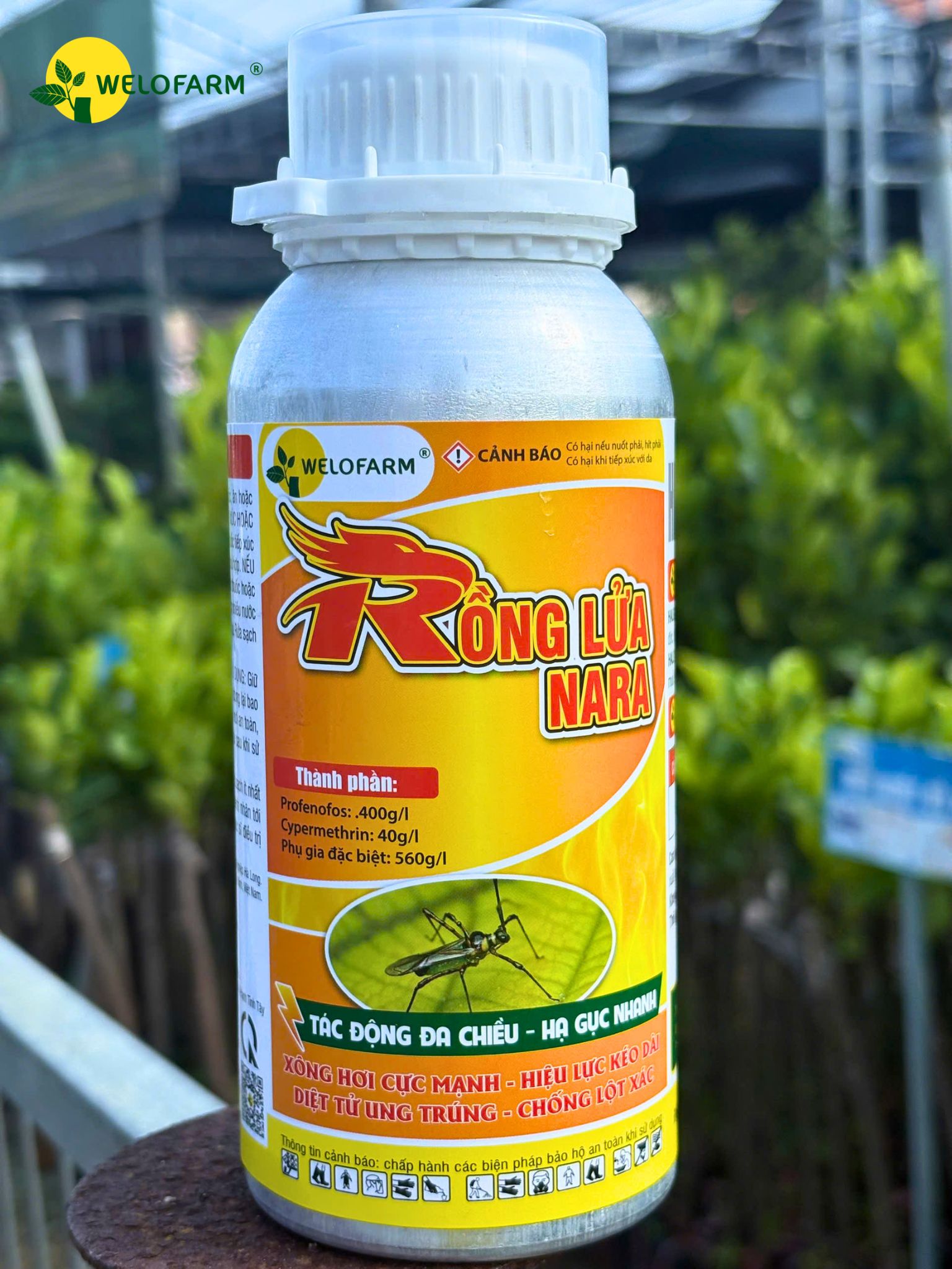 Rồng Lửa NaRa