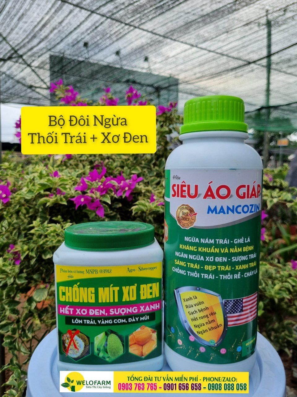 BỘ NGỪA XƠ ĐEN - THỐI TRÁI