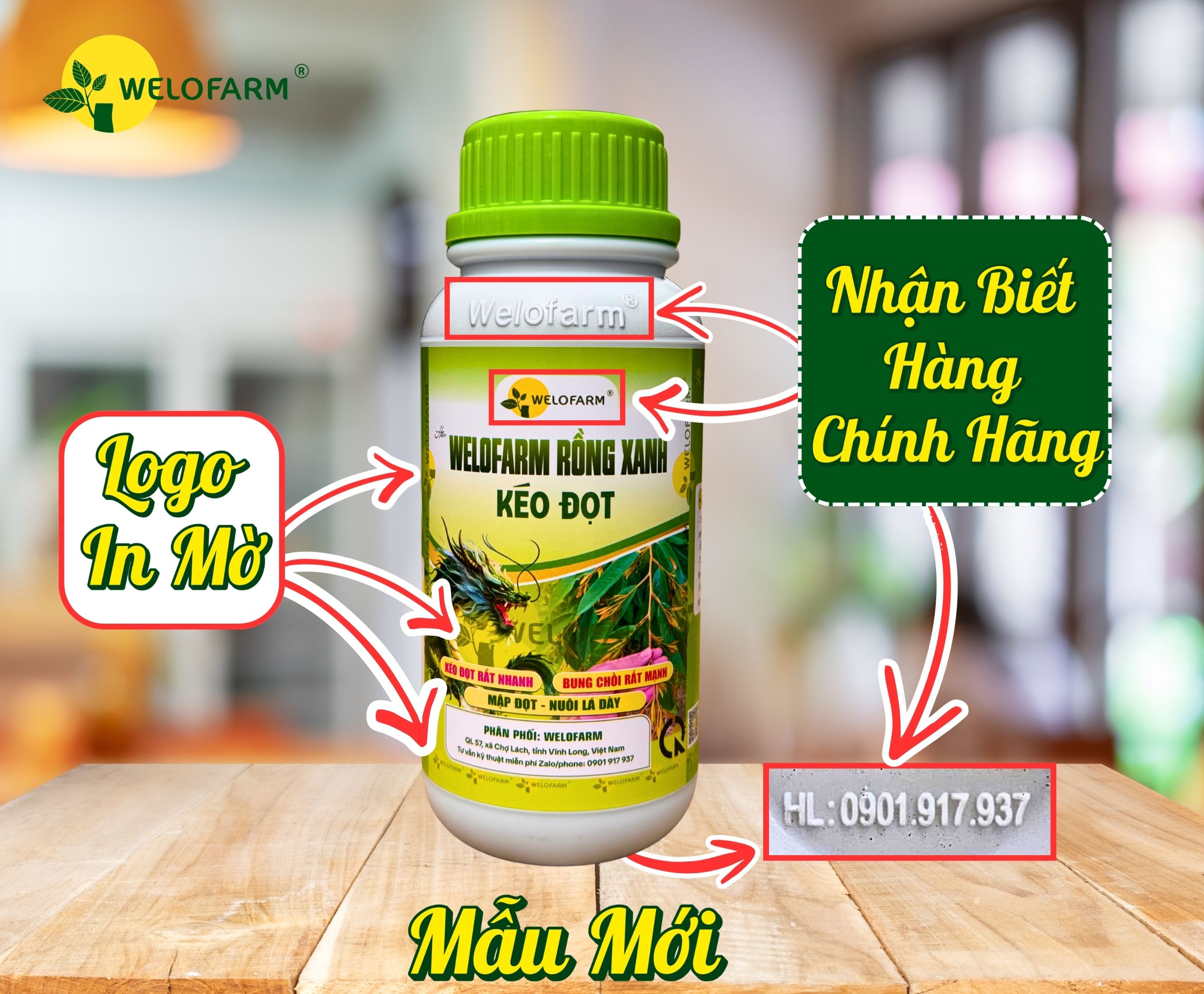Welofarm Rồng Xanh