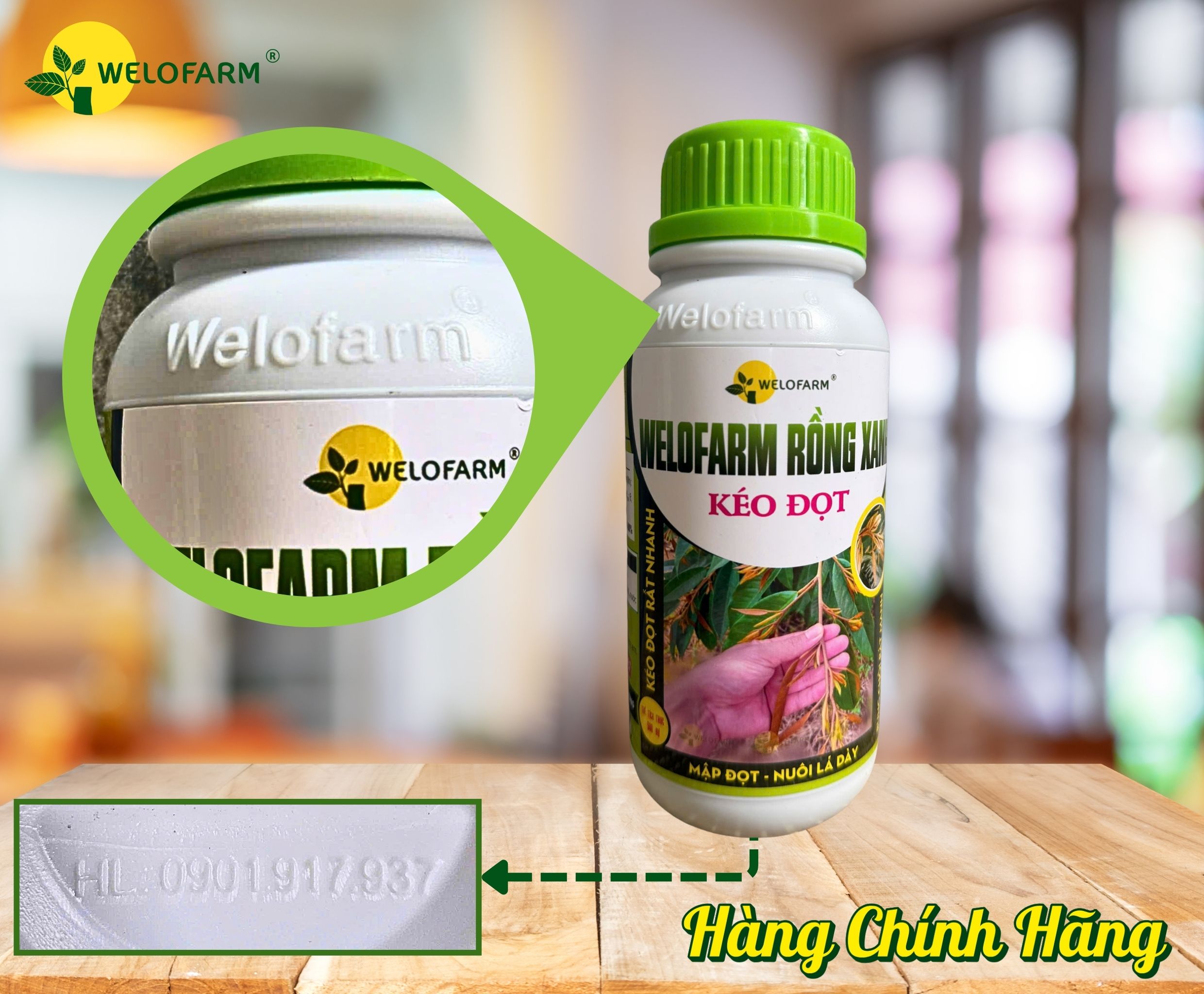 Welofarm Rồng Xanh Kéo Đọt