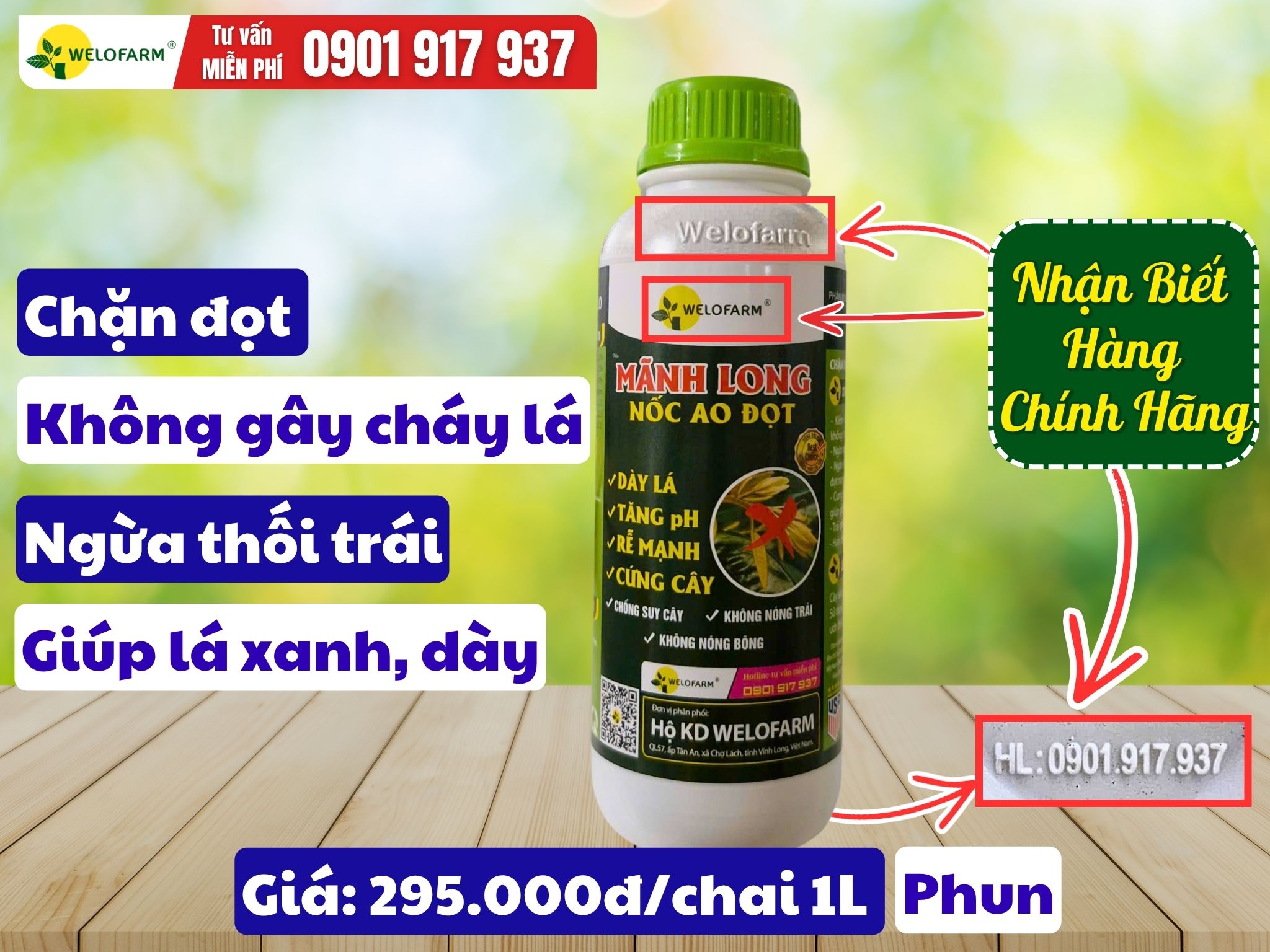 Mãnh Long Nốc Ao Đọt