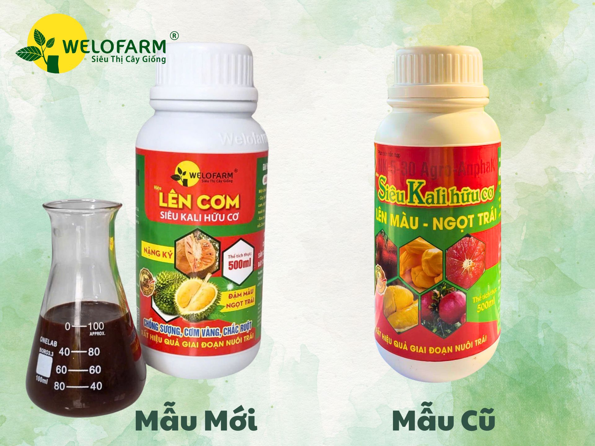 Lên Cơm