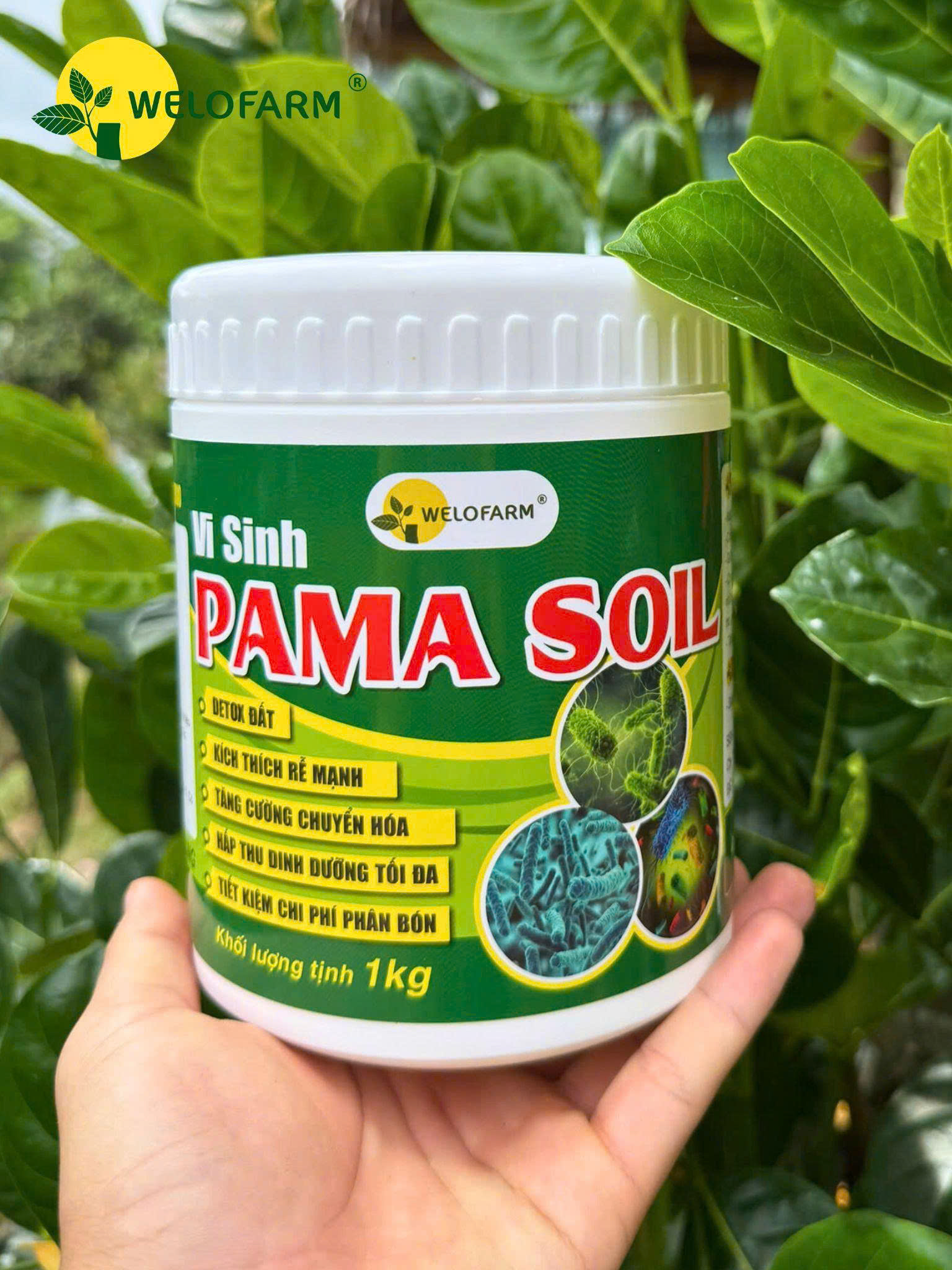 Vi Sinh Pama Soil