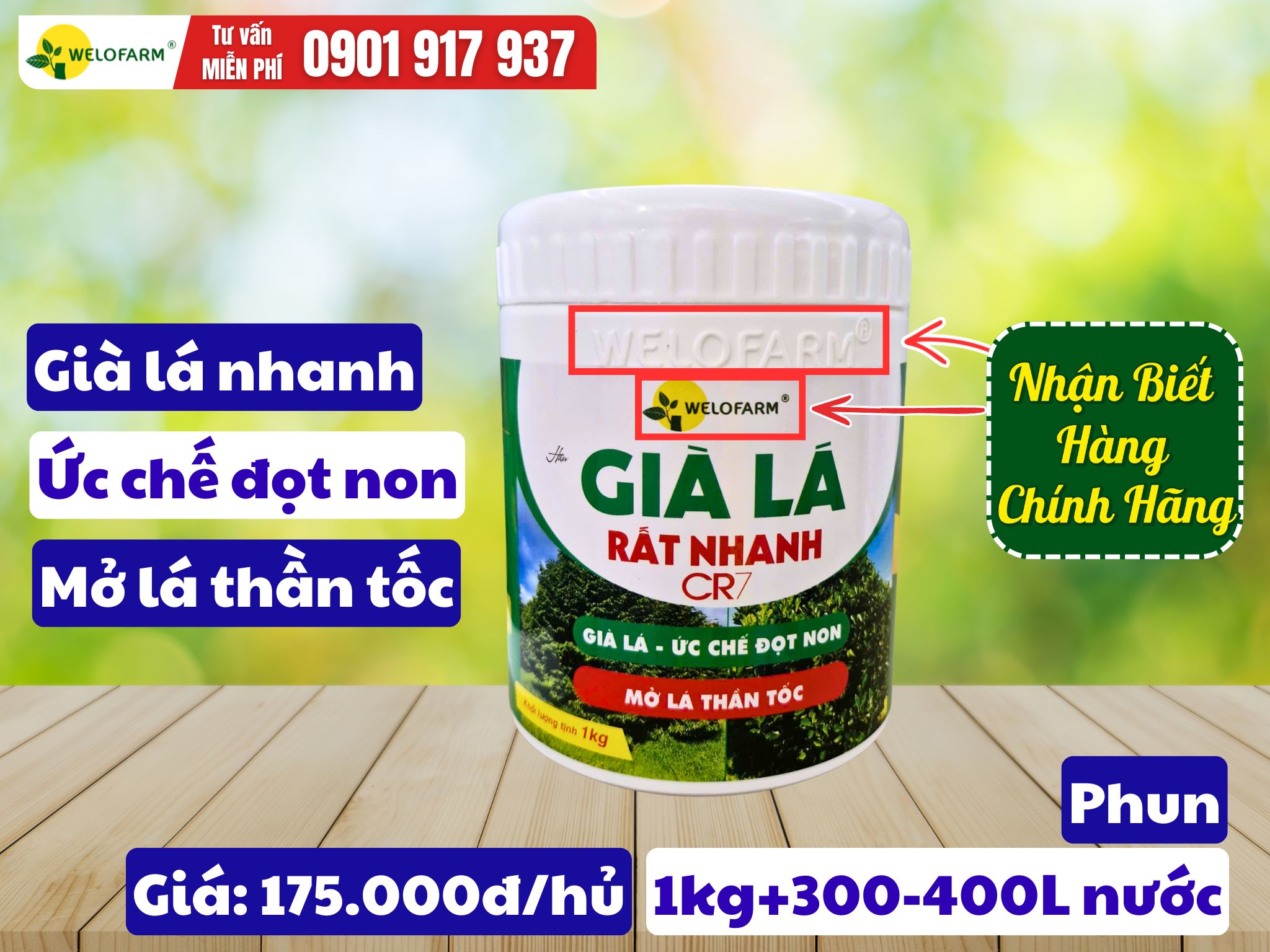 Già Lá Rất Nhanh