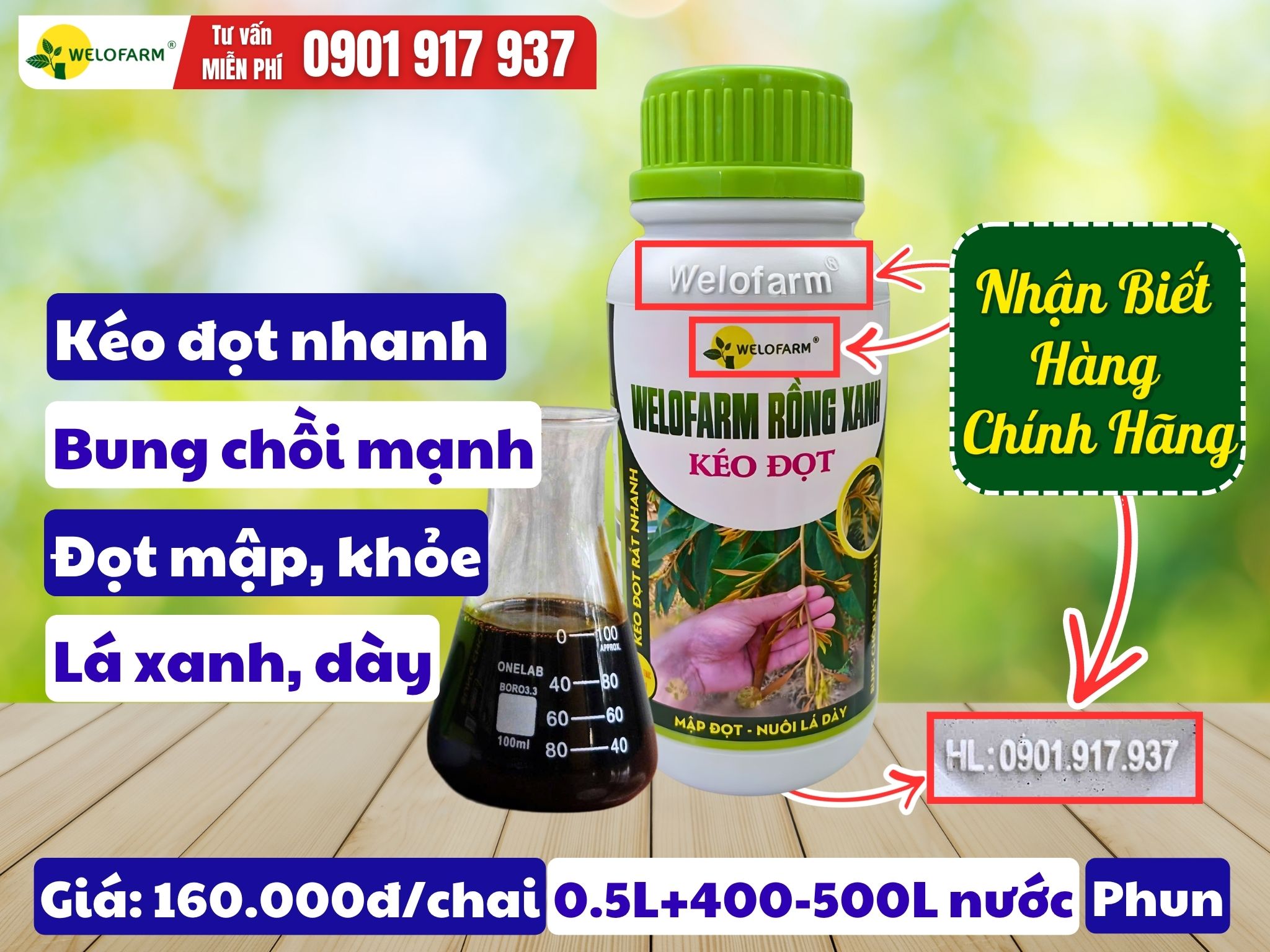 Welofarm Rồng Xanh Kéo Đọt