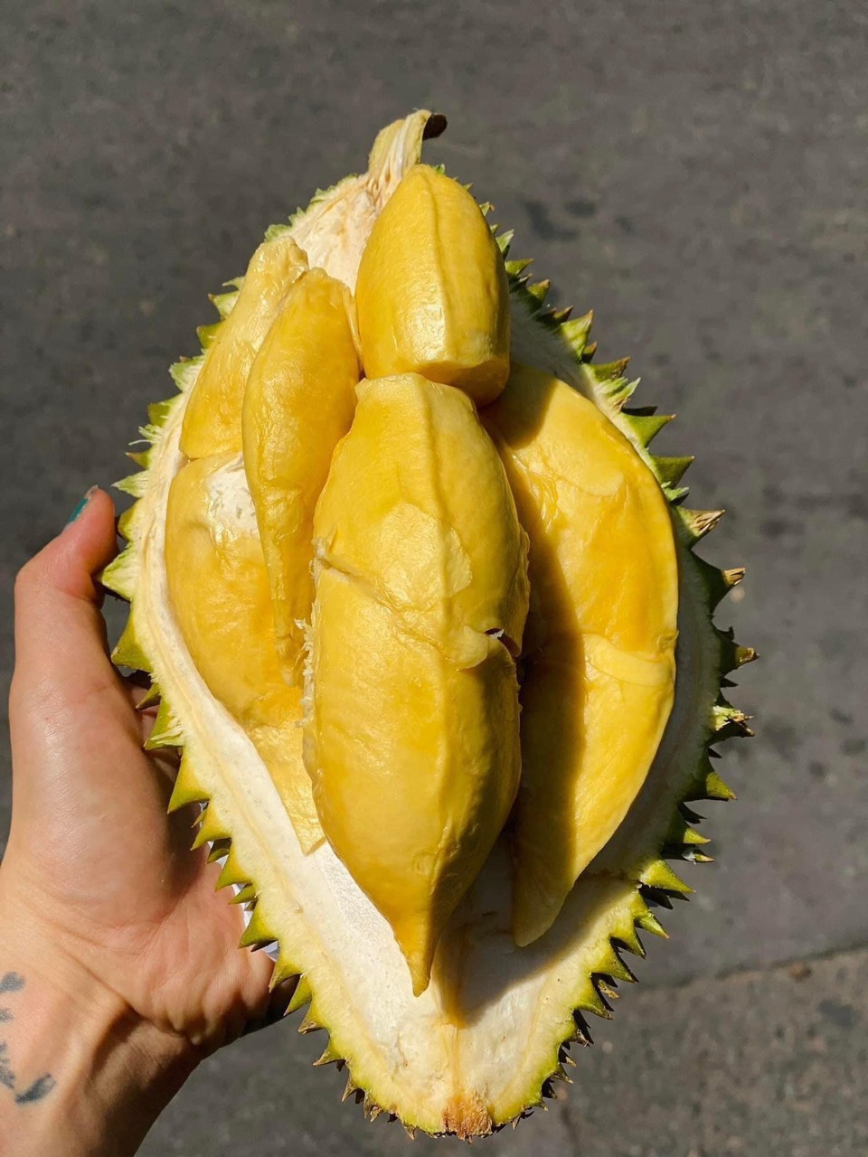 Sầu Riêng Sáu Hữu