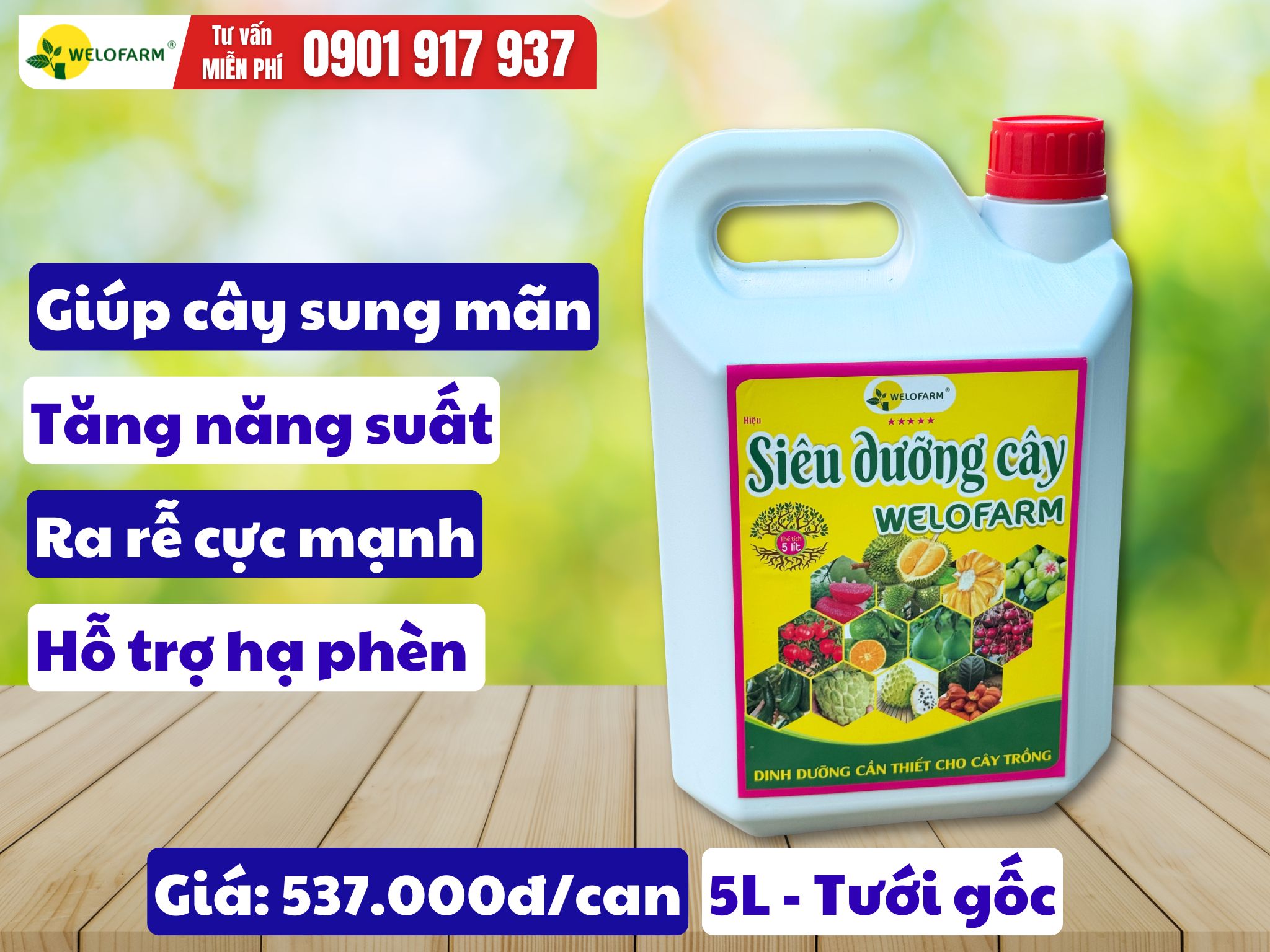 Siêu Dưỡng Cây