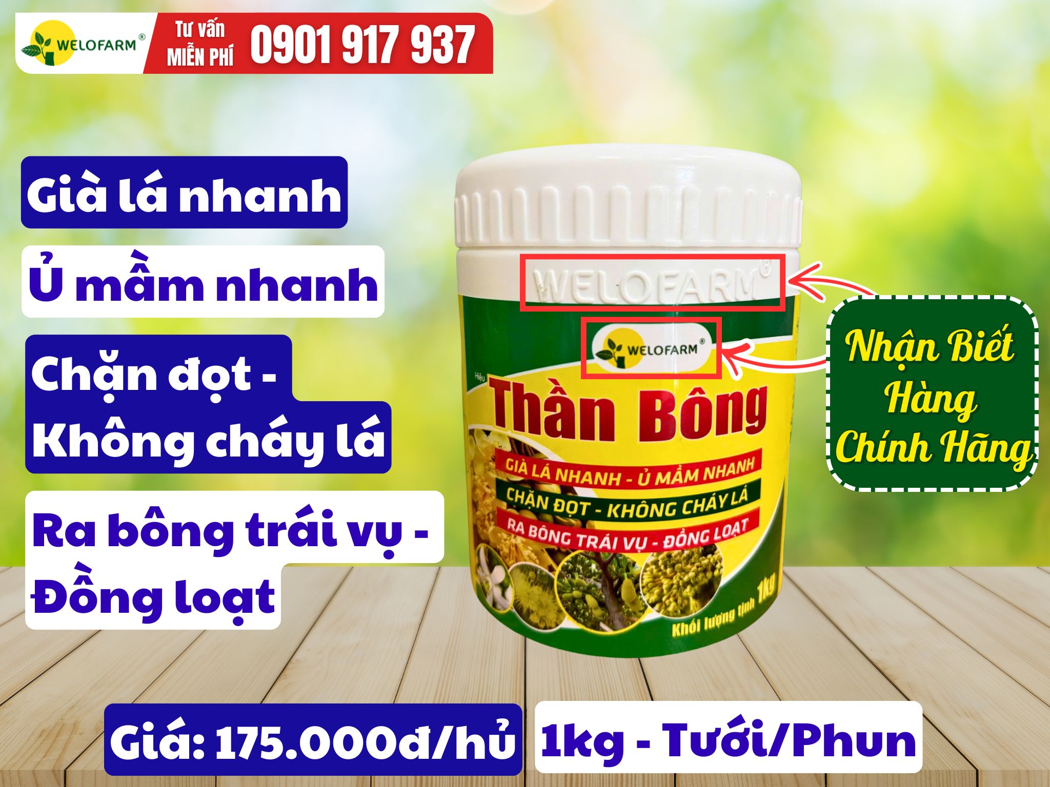 Thần Bông