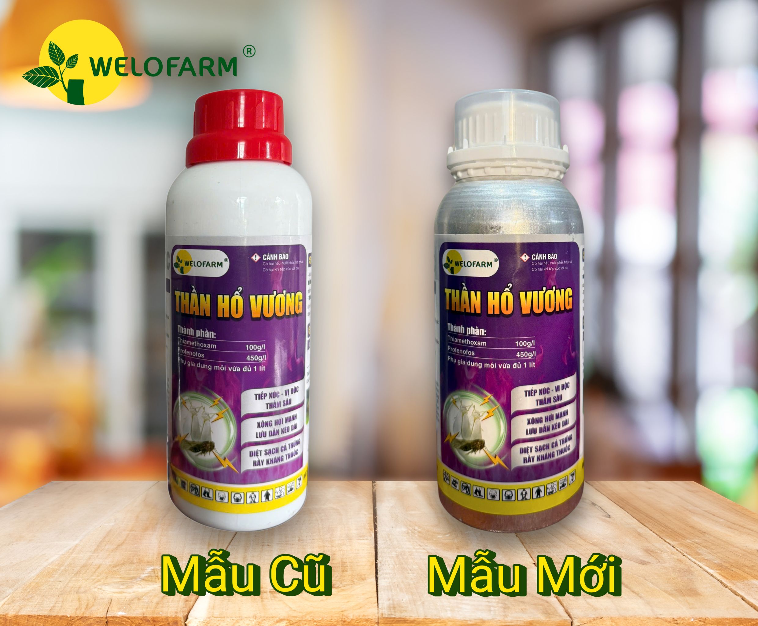 Thần Hổ Vương