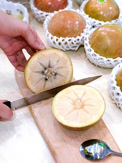 Vú Sữa Bơ Hồng
