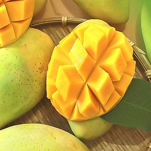 Xoài Cát Hòa Lộc