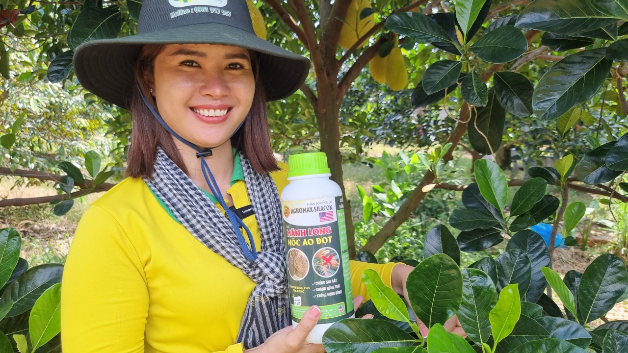 Mãnh Long Nốc Ao Đọt