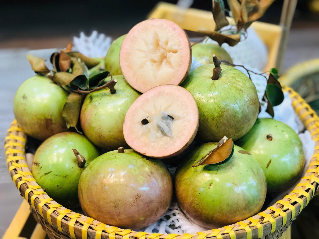 Vú Sữa Bơ Hồng