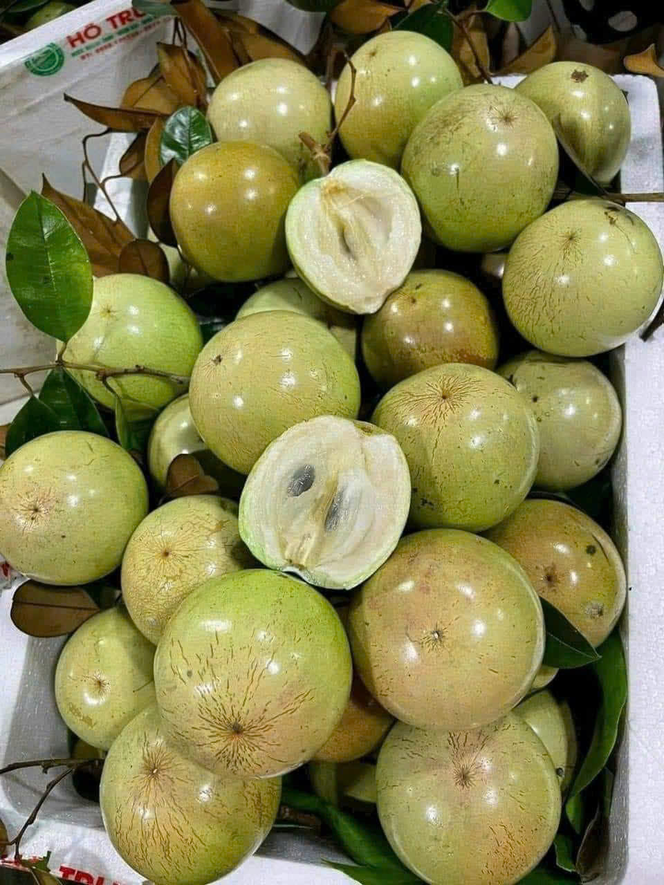 Vú Sữa Lò Rèn