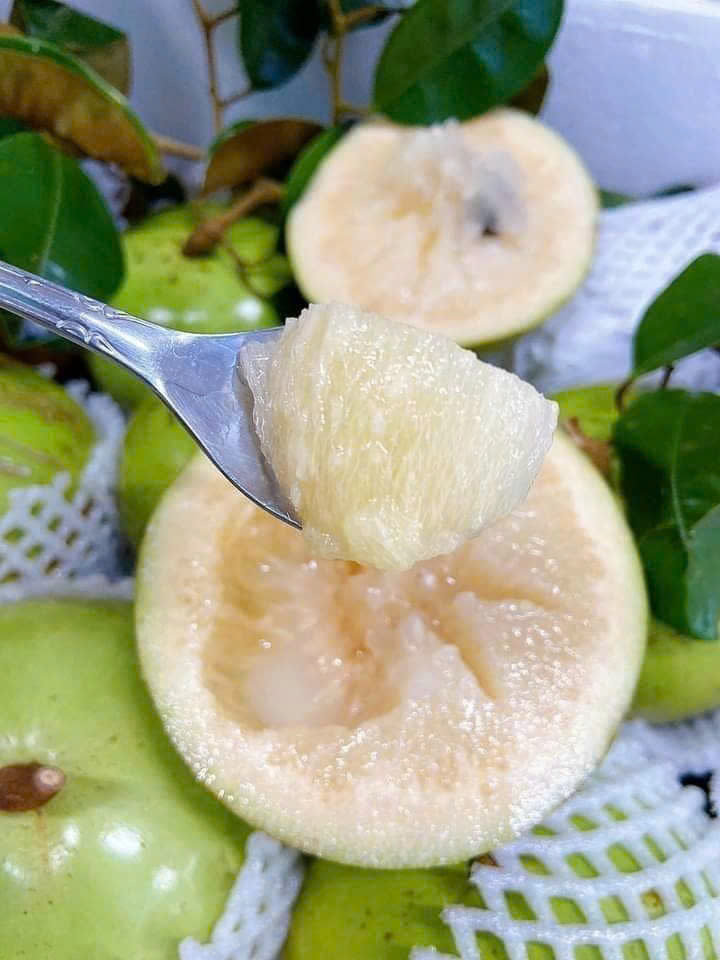 Vú Sữa Lò Rèn