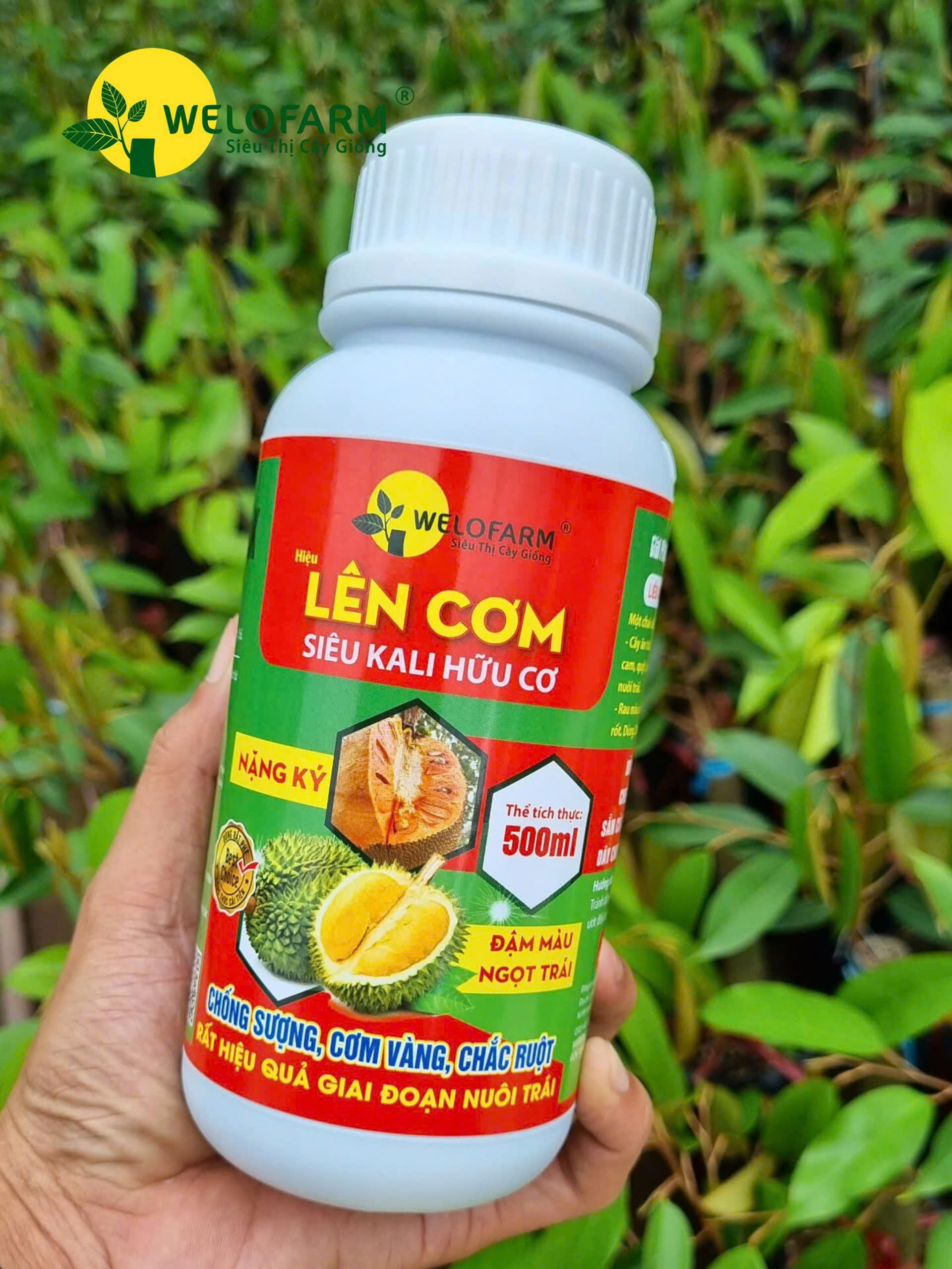 Lên Cơm