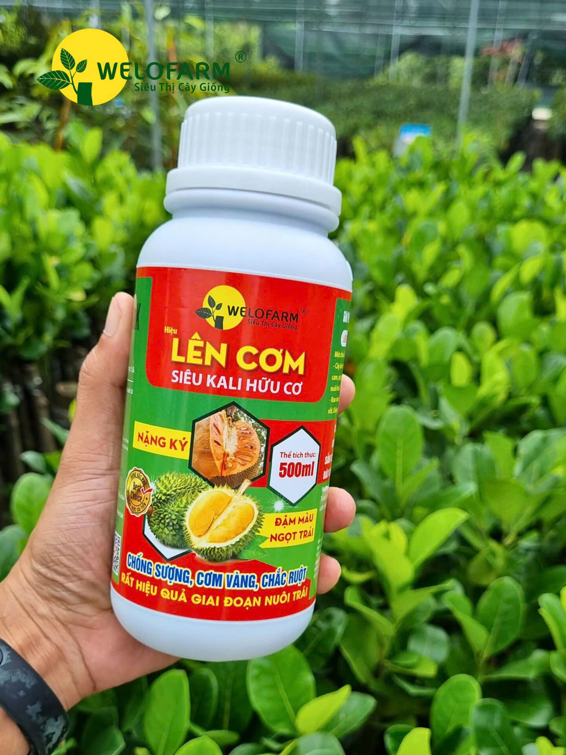 Lên Cơm
