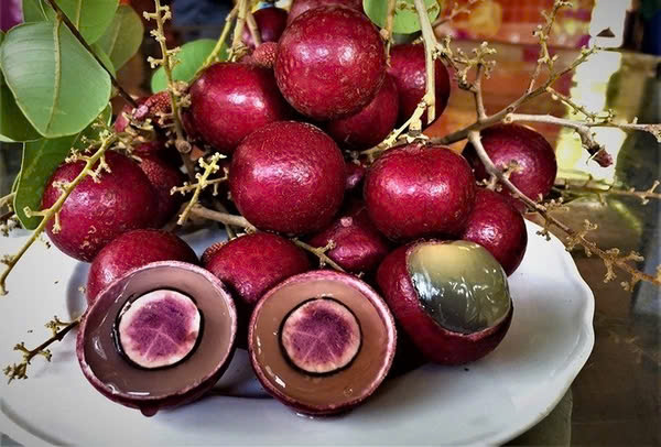 Nhãn Long Tím