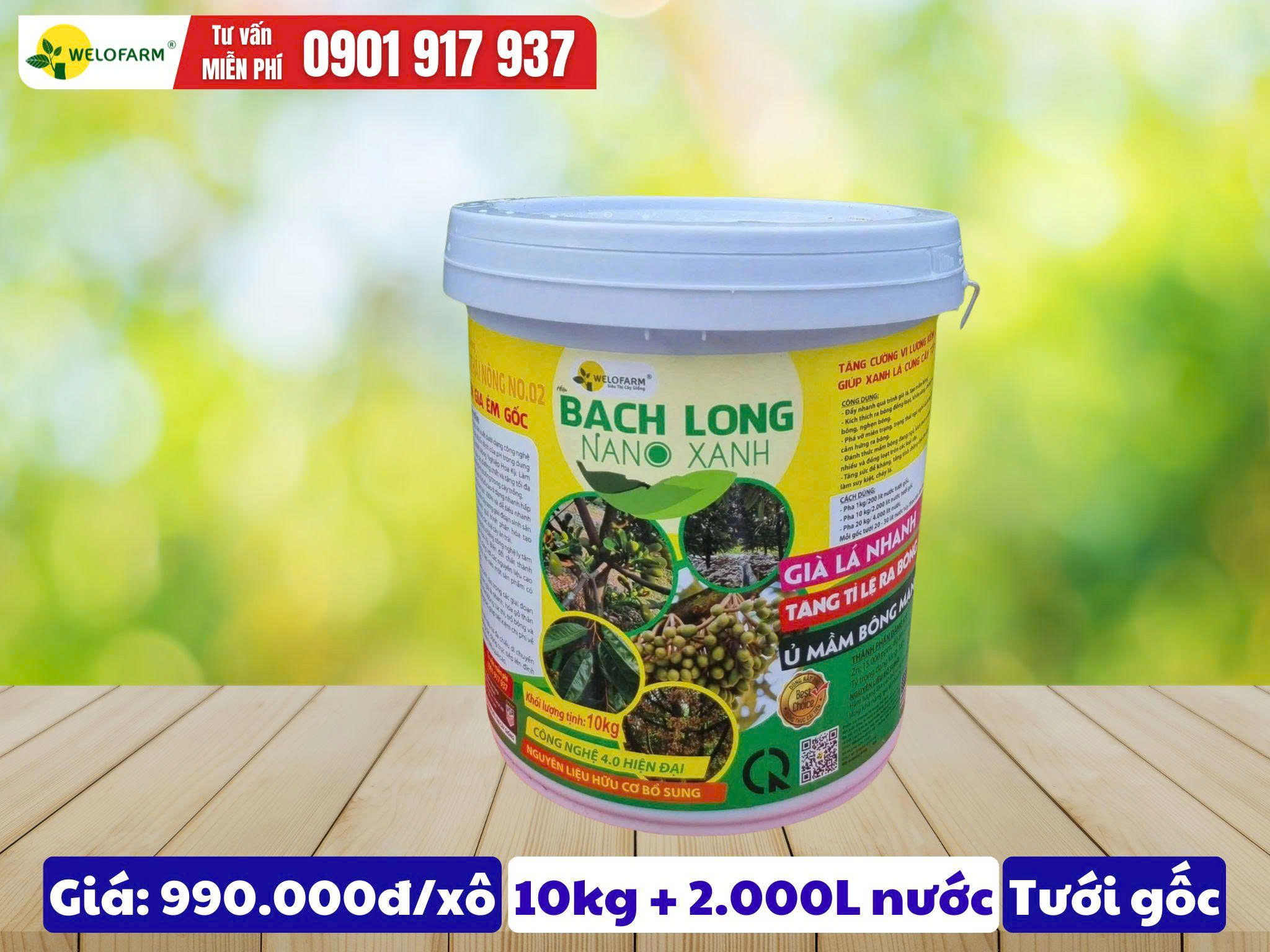 Bạch Long Nano Xanh