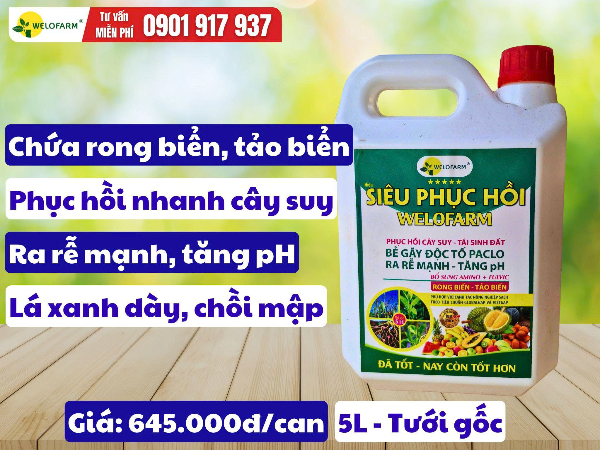 Siêu Phục Hồi