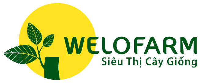 SIÊU THỊ CÂY GIỐNG WELOFRAM