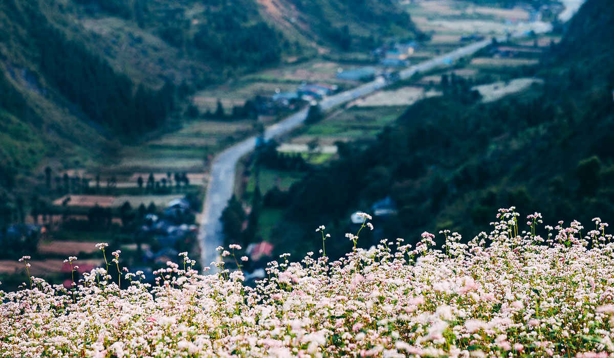 du-lich-ha-giang-thang-11