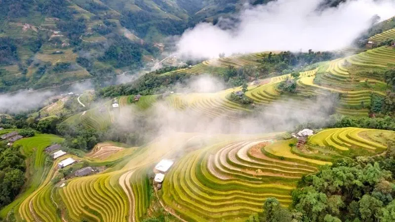 hoang-su-phi-2