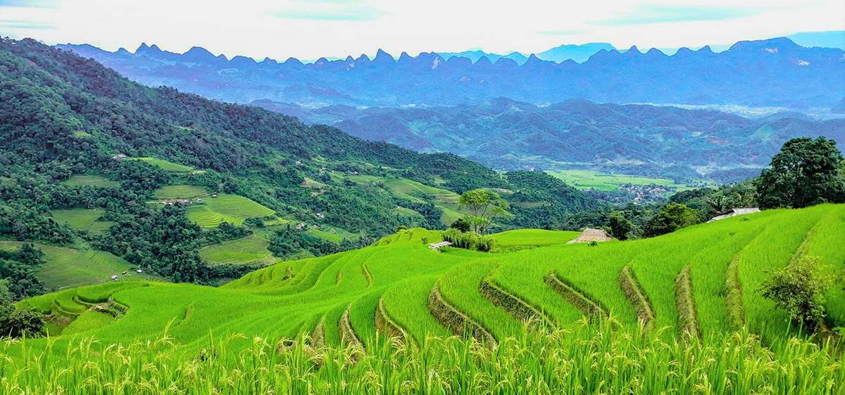 khuoi-my-nang-tho-giua-long-ha-giang