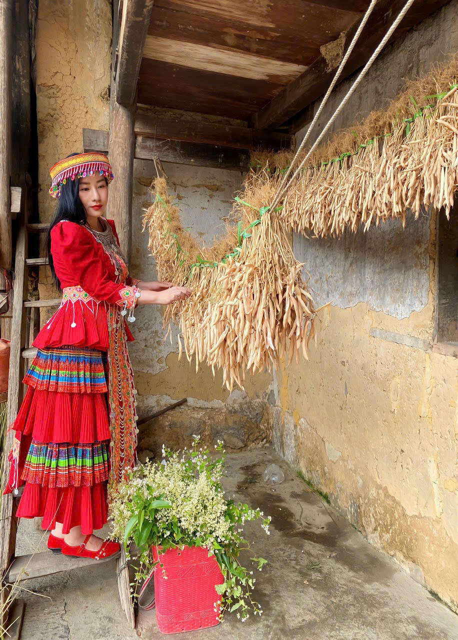 Tour du lịch Hà Giang cao nguyên đá Đồng Văn 04 ngày 03 đêm có những gì ?