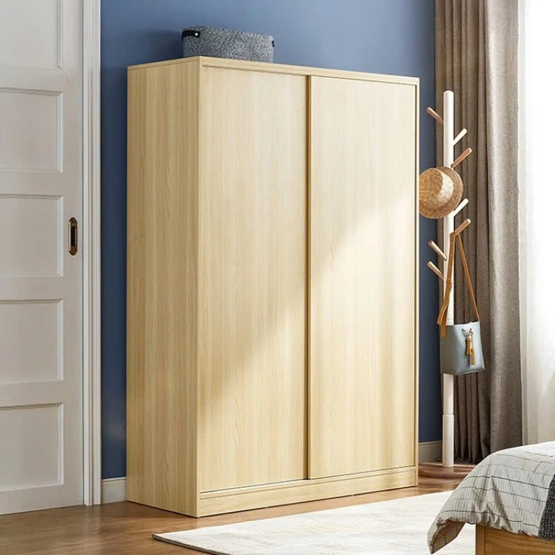 Tủ Quần Áo 2 Cánh Thiết Kế Hiện Đại